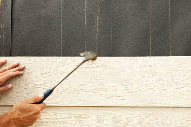 Best Custom Trim and Detailing for Siding  in Roselle Park, NJ